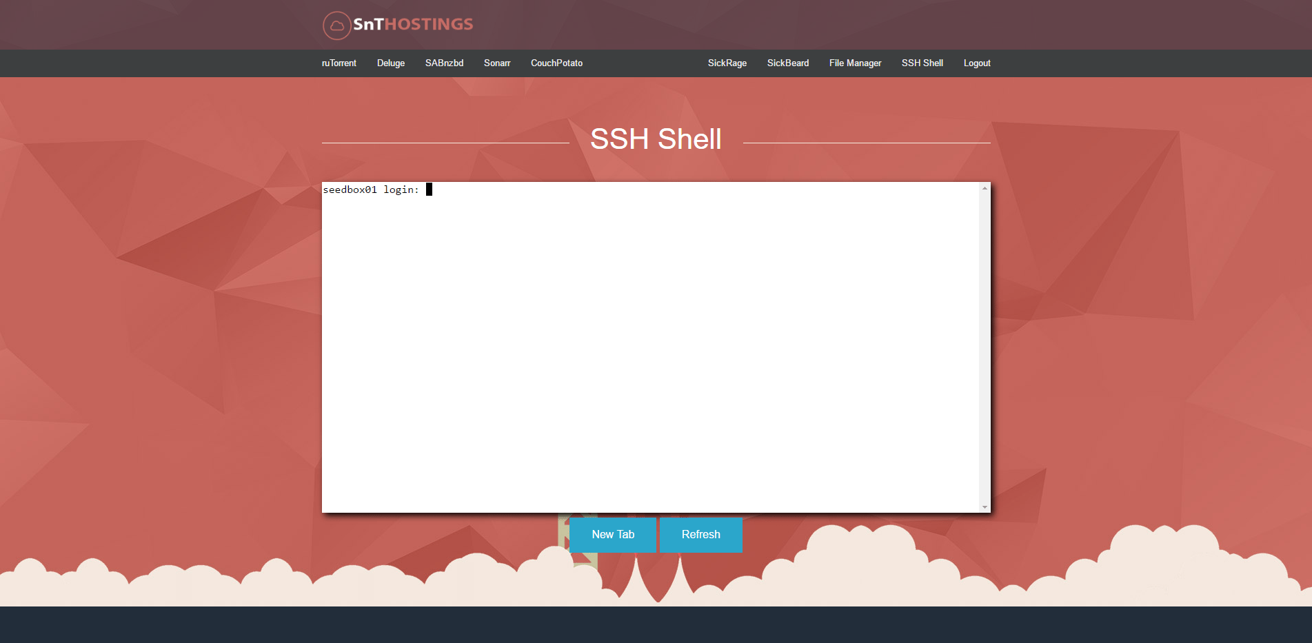 SSH Page for our 100MBPS Seedbox