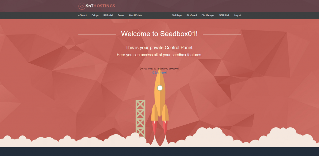 What makes our Seedbox one of the Best Seedbox?