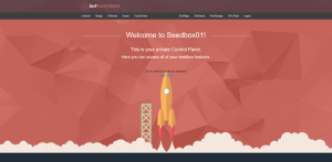 What makes our Seedbox one of the Best Seedbox?