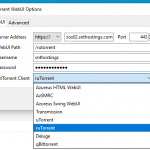 BitTorrent WebUI Options